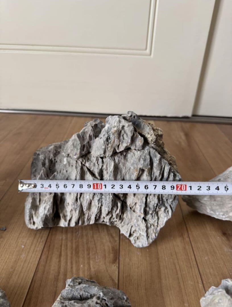 ADA 龍王石　21個　約19kg