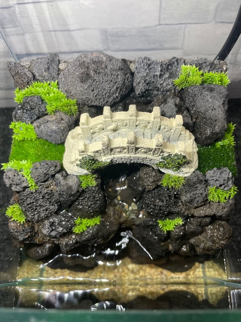 アクアテラリウム　mini 溶岩石　No.1