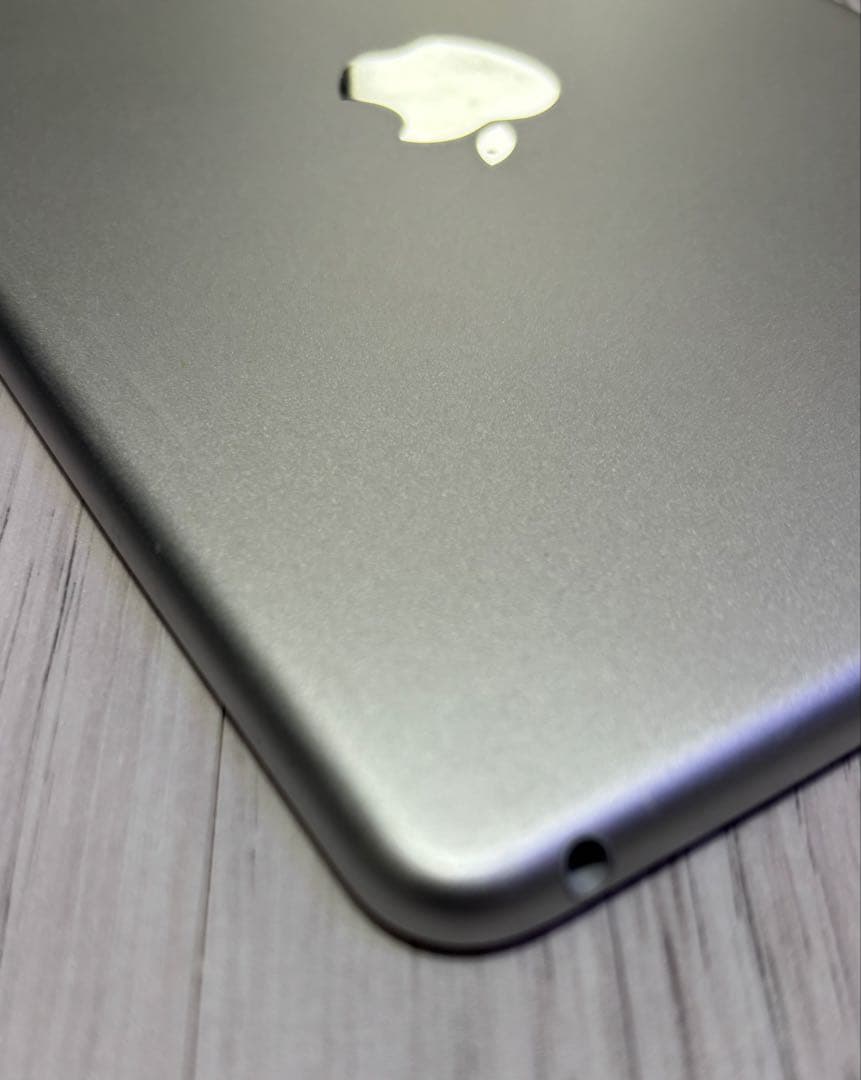iPad mini 5世代本体 WIFI 64G Apple Pencil