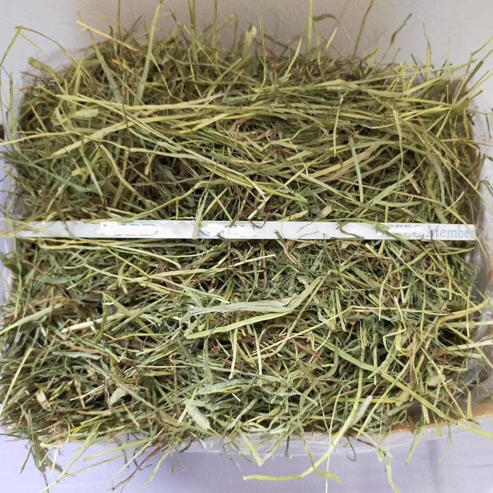 【処分価格】US産 チモシー 30kg ２番刈 ソフトSプレミアム