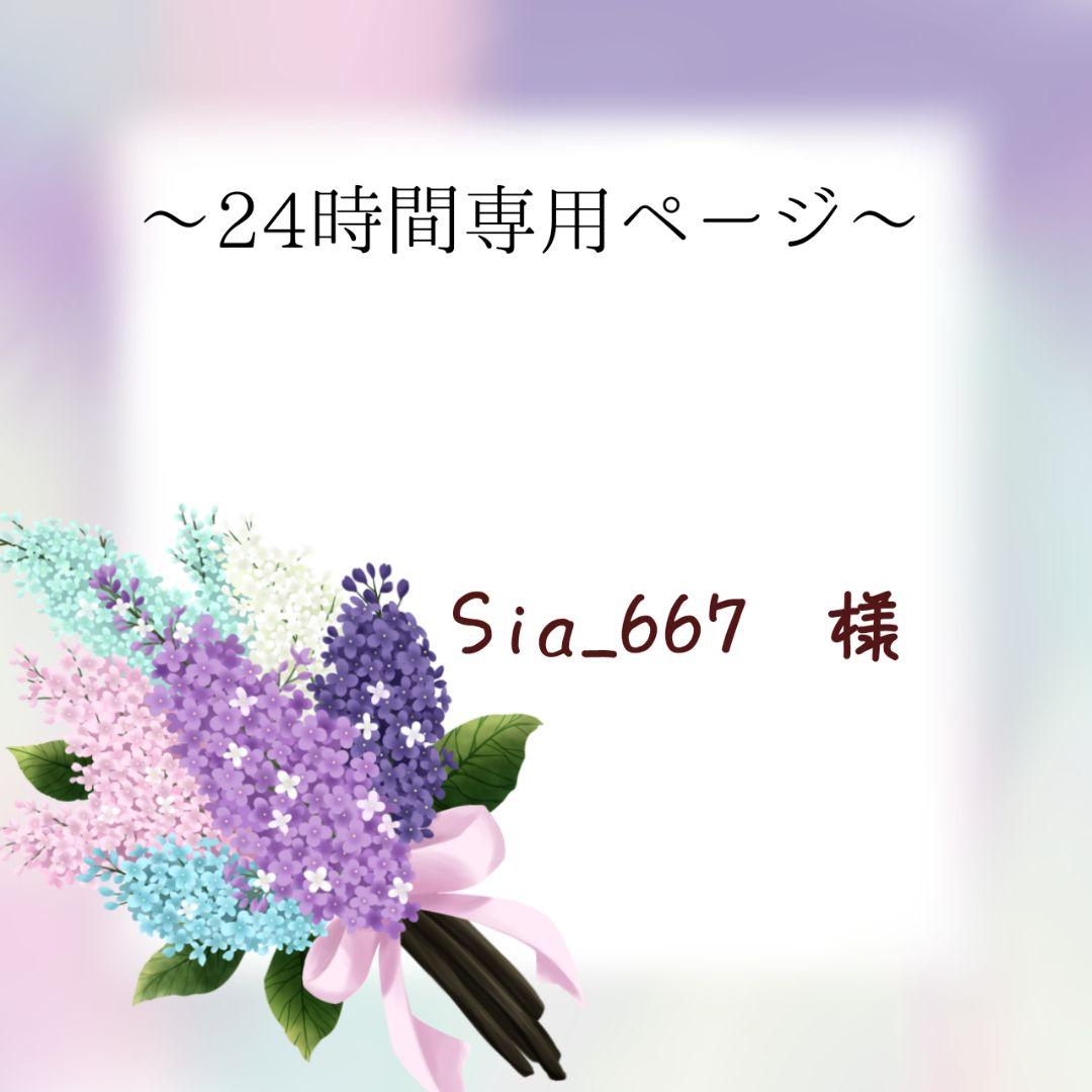 Sia_667ページ