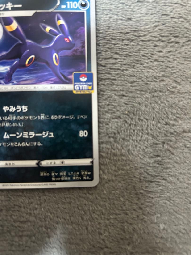 ブラッキー ジムプロモ
