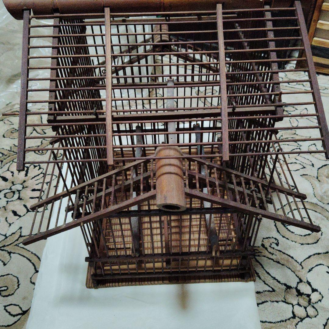 鳥龍