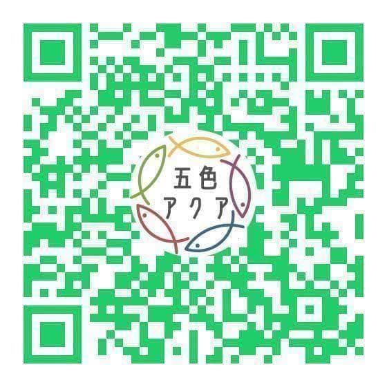 メダカ飼育ケース 36㍑x4個（黒・薄灰・深緑・水色）大雨対策付 金魚鉢飼育容器