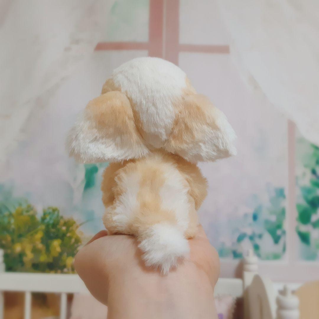 チワボボちゃん①　おしゃぶり付き　アートドール　ぬいぐるみ
