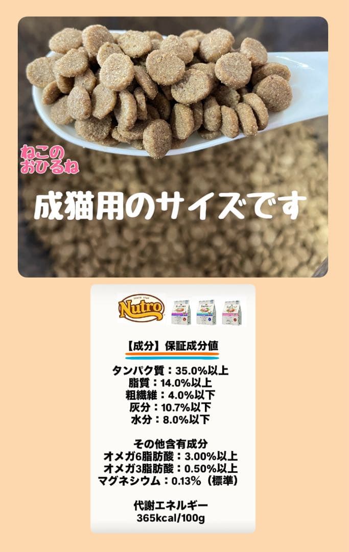 ニュートロ　シュプレモ　成猫用（チキン&サーモン）（白身魚&チキン）3kg×２袋