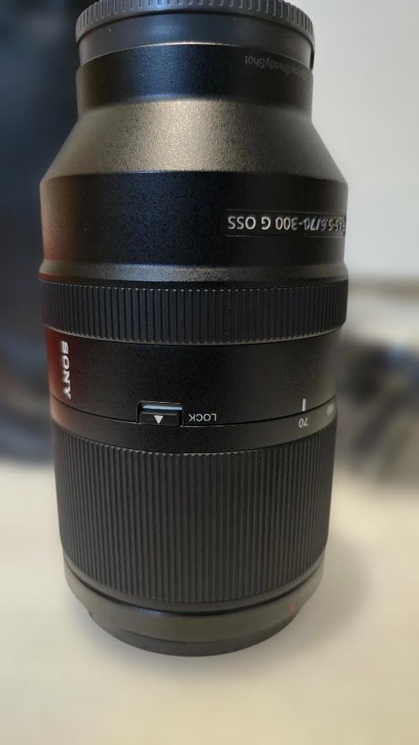 その他 SONY FE 70-300mm F4.5-5.6 G OSS