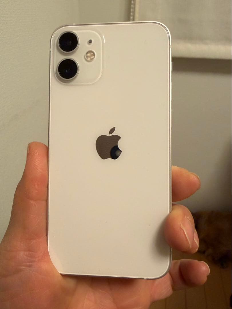 Apple iPhone 12 mini 128gb本体 充電ケーブル付き