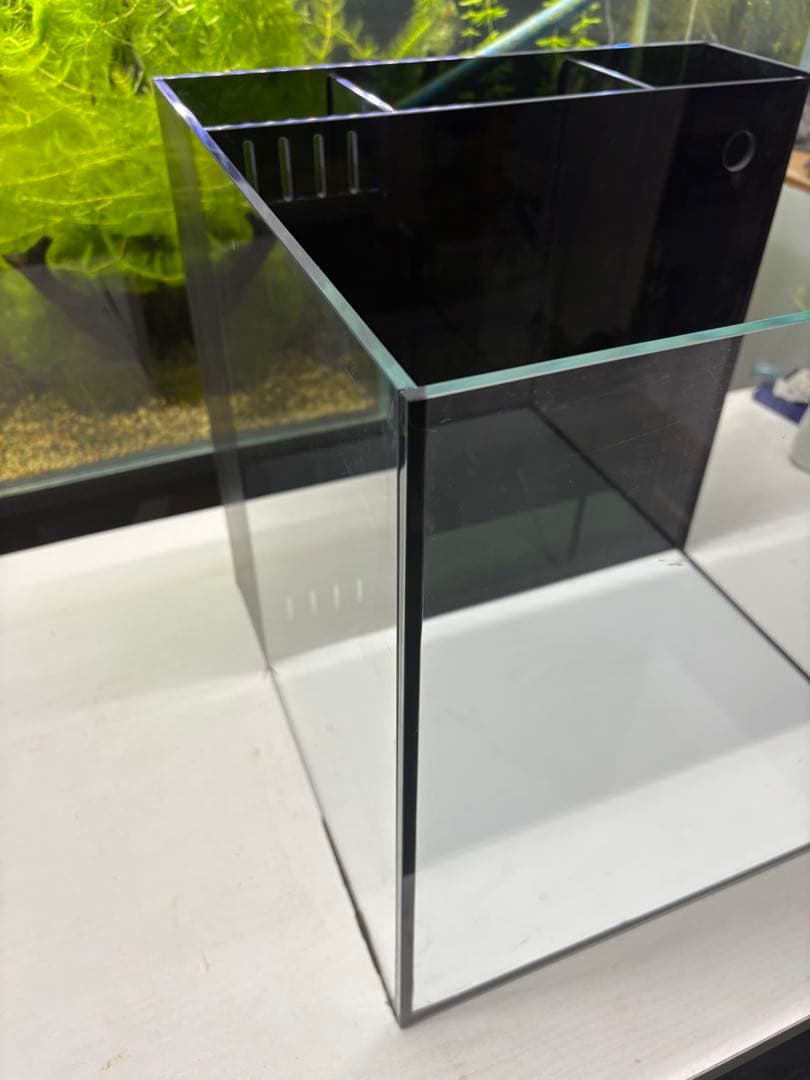 水槽　W40×D40×H40厚み6mm 濾過付き　ブラクラ仕様