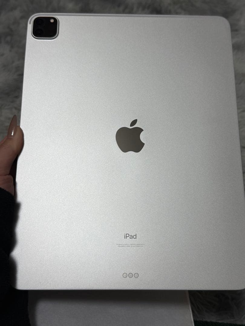 第5世代(12.9インチ)Apple iPad Pro シルバー