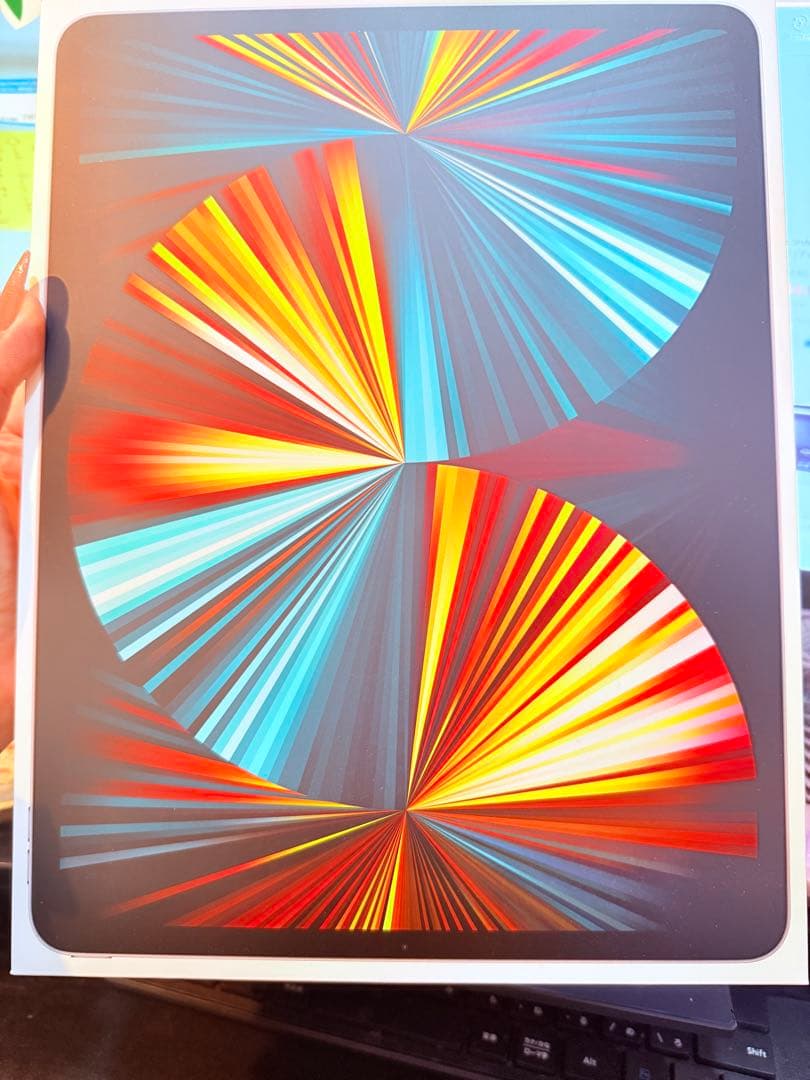 第5世代(12.9インチ)Apple iPad Pro シルバー