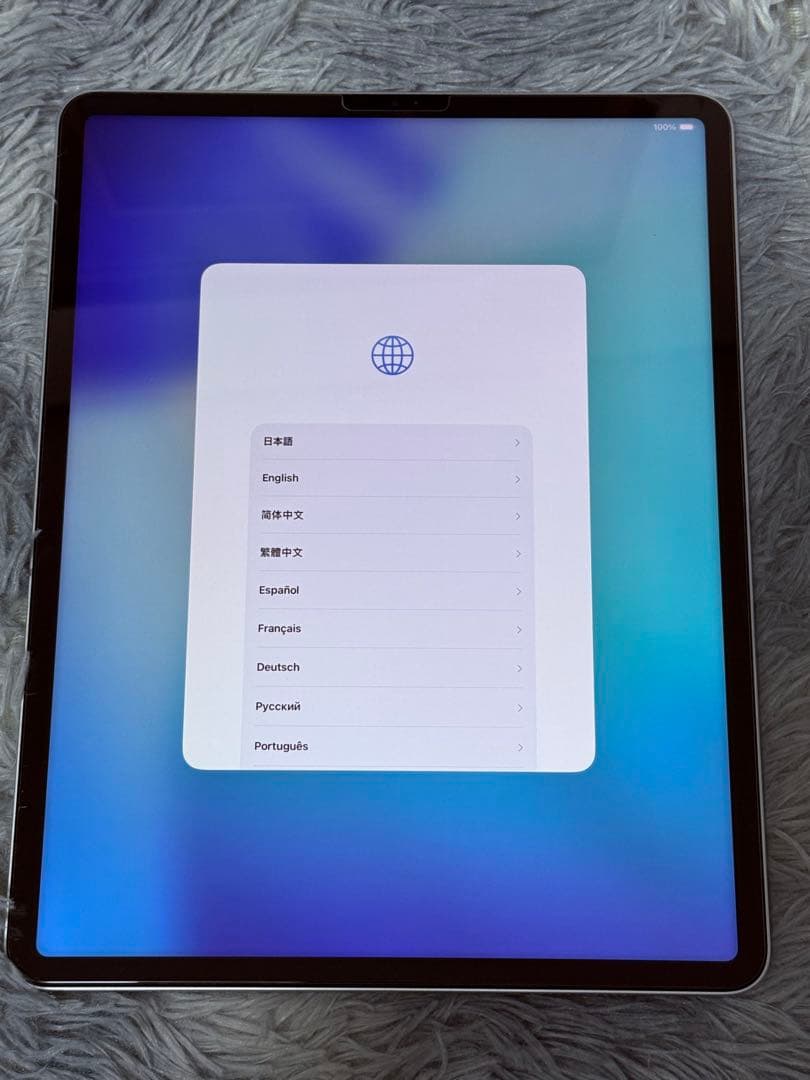 第5世代(12.9インチ)Apple iPad Pro シルバー
